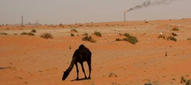 US shale drillers face squeeze from Saudi oil policy