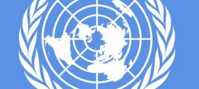 Argentina Goes To UN Over Falklands.