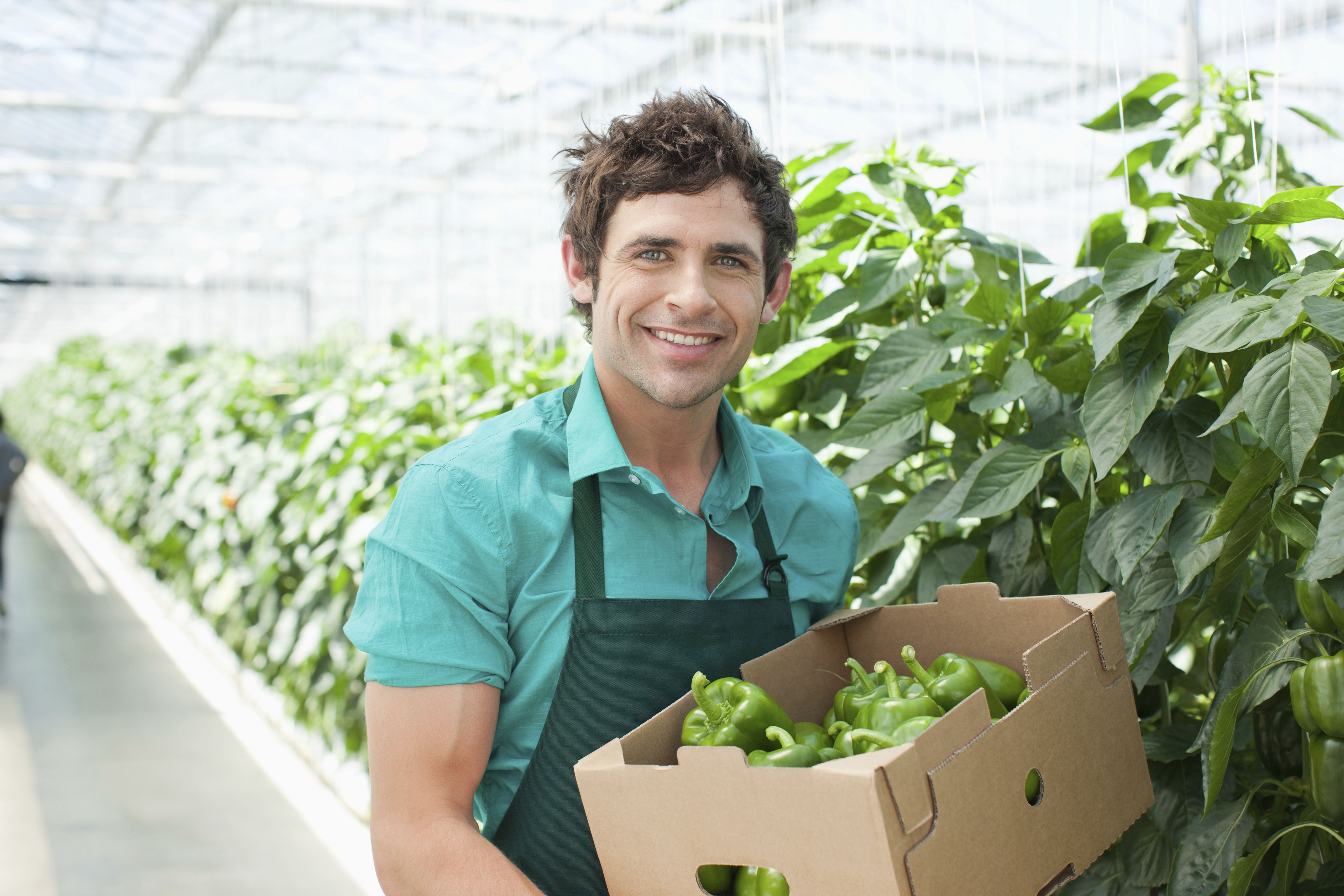The rise in community gardens