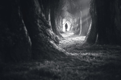 ghost_stories.jpg