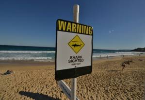 Shark fears cancel elite surf competition in Australia.jpg