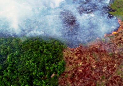 Warming, deforestation turn Amazon into source of CO2.jpg