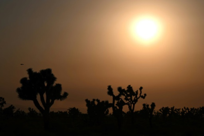 Key UN climate science talks open amid floods, fires.jpg