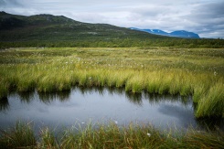 Permafrost: a ticking carbon time bomb