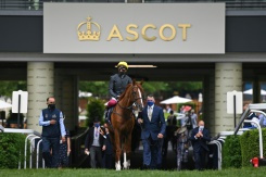 Stradivarius bids to make winning end to Royal Ascot career.jpg