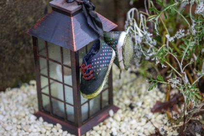 UK owes apology for.jpg