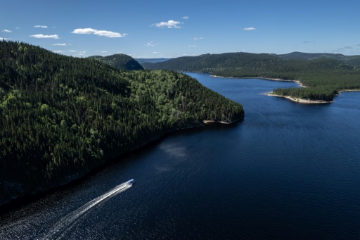 In Canada's boreal forest, one man works to save caribou