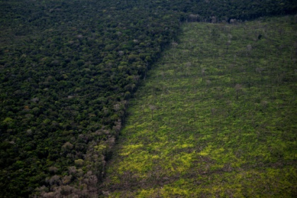 Developing nations demand more money at crunch UN biodiversity talks.jpg