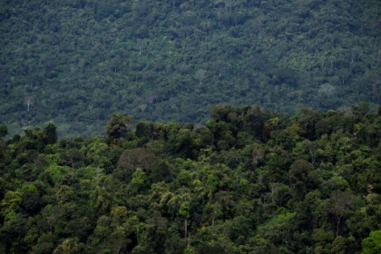Brazil lawmakers vote to limit demarcation of Indigenous reserves.jpg