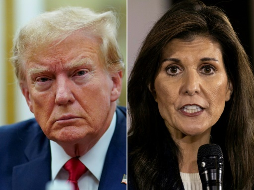 Ex-White House hopeful Nikki Haley pledges her vote to Trump