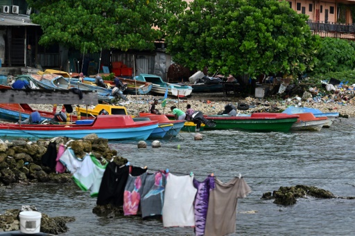 Shadowy exotic pet trade thrives in Pacific island nation