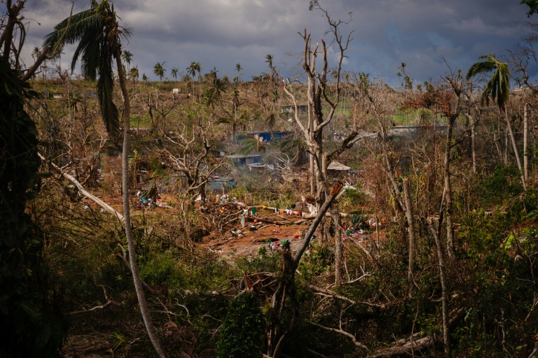 Mayotte faces environment, biodiversity crisis after cyclone
