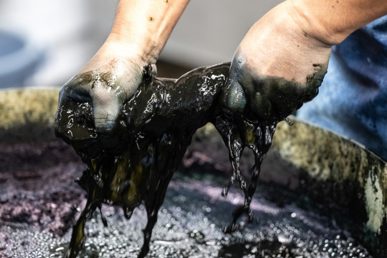 True blue tradition: how Japan's coveted jeans are made