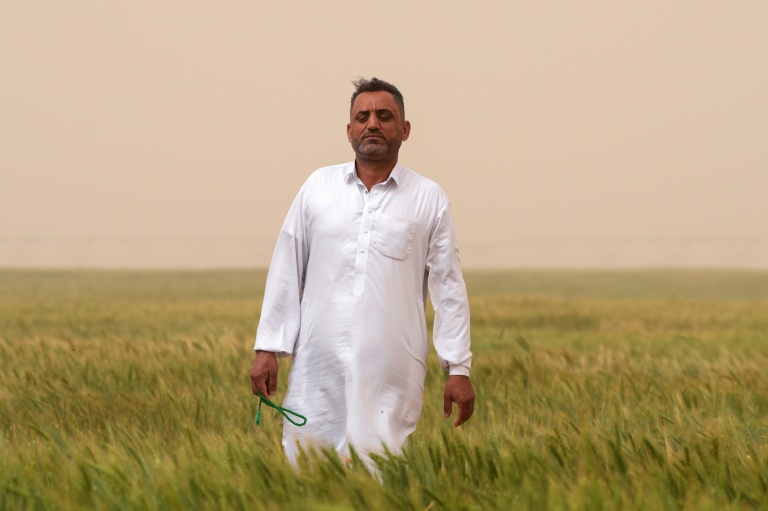 Iraq farmers turn to groundwater to boost desert yield