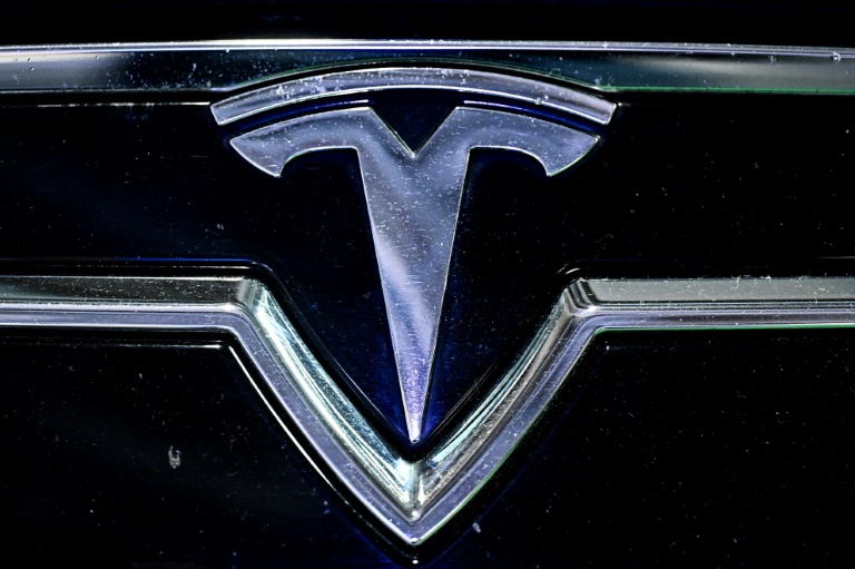 French Tesla customers sue over brand becoming 'extreme right'