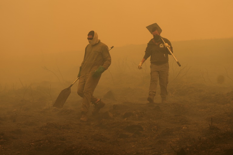 Record EU wildfires burnt more than 1 mn hectares in 2025: AFP analysis