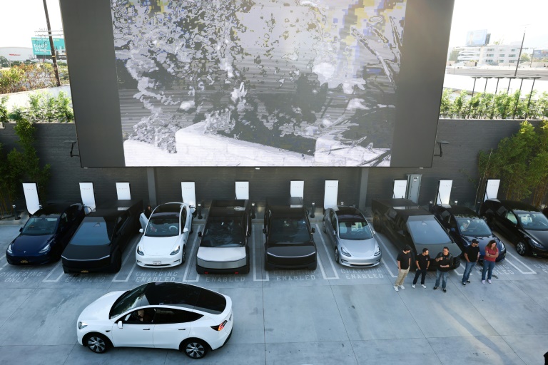 Tesla profits drop as Musk warns of 'rough' patch before riches