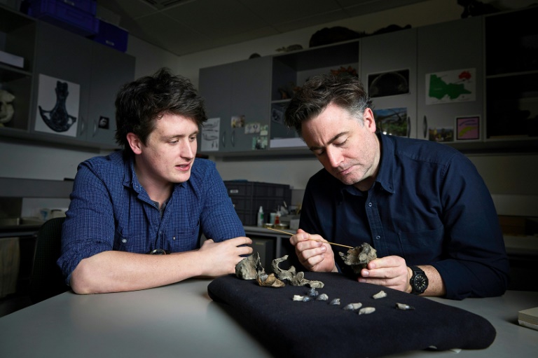 Scientists unearth 'cute' but fearsome ancient whale