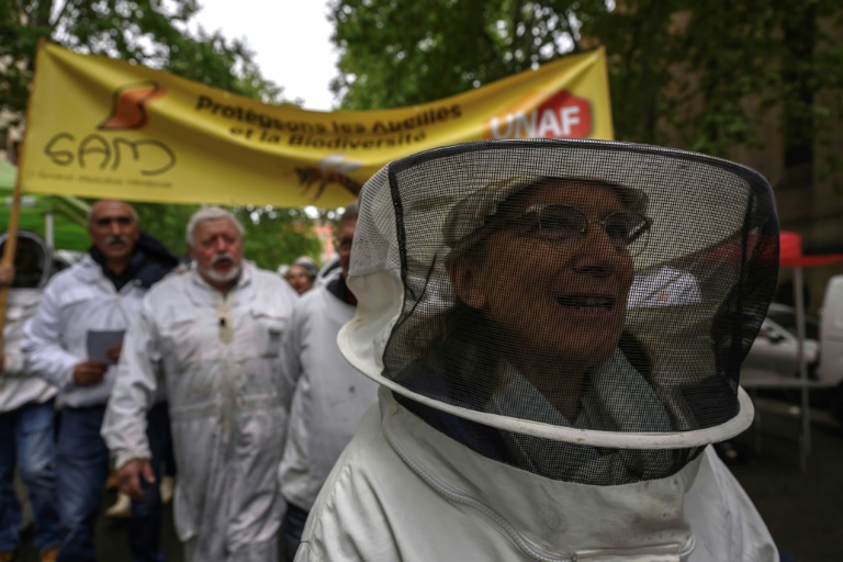 French petition against return of bee-killing pesticide passes 1mn