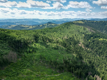 This aerial view taken on July 9, 2023 shows former logging areas in Romania's Tarhaus Valley - Ionut IORDACHESCU (AFP)