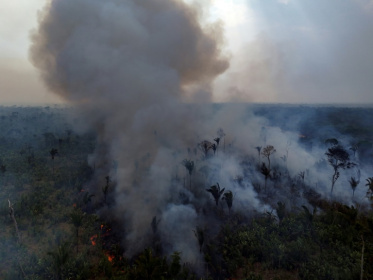 Aerial view of a fire in the Amazon rainforest near the northern Brazilian city of Labrea on September 4, 2024 - MICHAEL DANTAS (AFP)