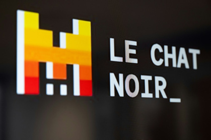 Mistral produce a chatbot named Le Chat, the French word for cat - BERTRAND GUAY (AFP)