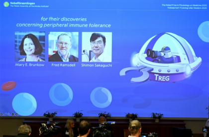 The Medicine Prize was awarded for research into how the immune system is kept in check - Jonathan Nackstrand (AFP)