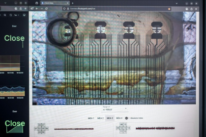 A screen showing the activity of the neurons, which is also displayed on the company's website - Fabrice COFFRINI (AFP)