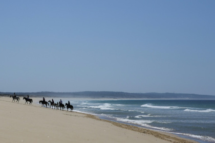 Luxury developments are sprouting up close to the nearly deserted beaches of Comporta in southwestern Portugal - Patricia DE MELO MOREIRA (AFP)