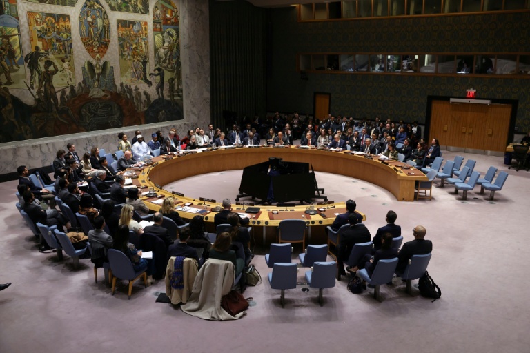 UN Security Council votes for international force for Gaza