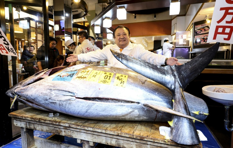 'Tuna King' pays record $3.2 mn for bluefin at Tokyo auction