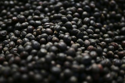 Coffee is one of the products now exempt from some of US President Donald Trump's tariffs, after prices had skyrocketed in the United States - Pablo PORCIUNCULA (AFP)