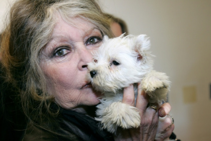 Bardot, here seen in 2005, went on to found the Paris-based Brigitte Bardot Foundation to protect animals - - (AFP)