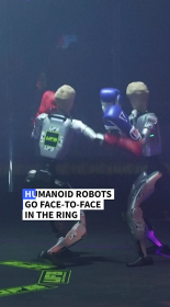 humanoid robot.png