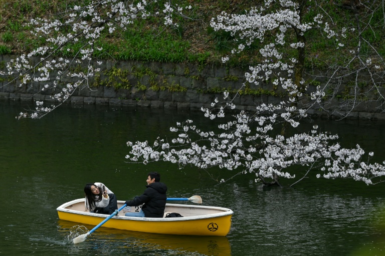 'Perfect Japan' posts spark Gen Z social media backlash