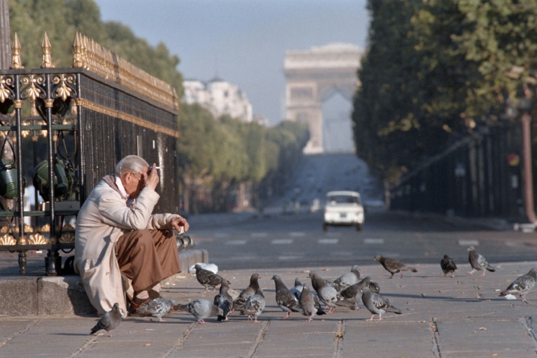 'Their story is our story': Pigeons and humans, 3,500 years together