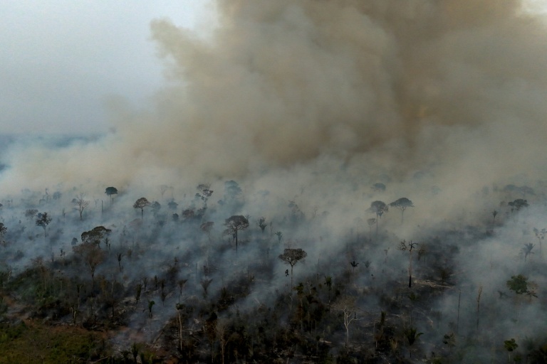 Fires in Brazil's Amazon dropped to historic low in 2025