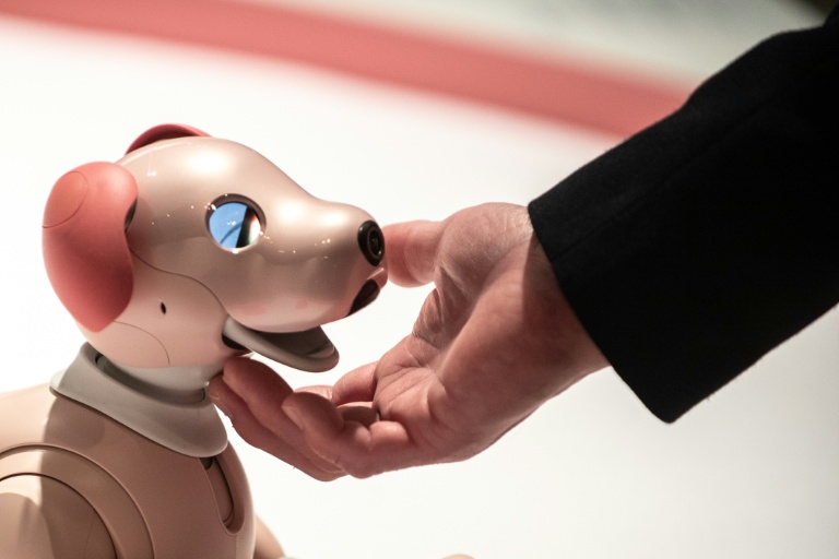 Sony discontinues Japan sales of robot puppy 'aibo'