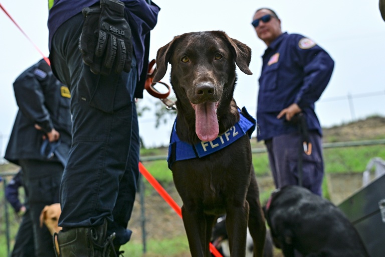 Four-legged rescuers lead way after Venezuela quakes