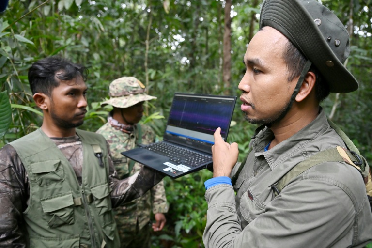Secret cameras, mics and AI reveal rare Cambodia wildlife