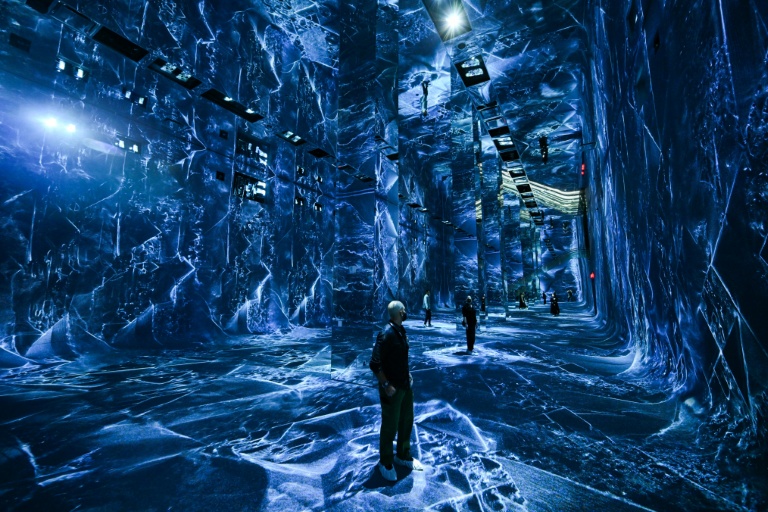 AI museum brings sights, sounds and smells of the rainforest