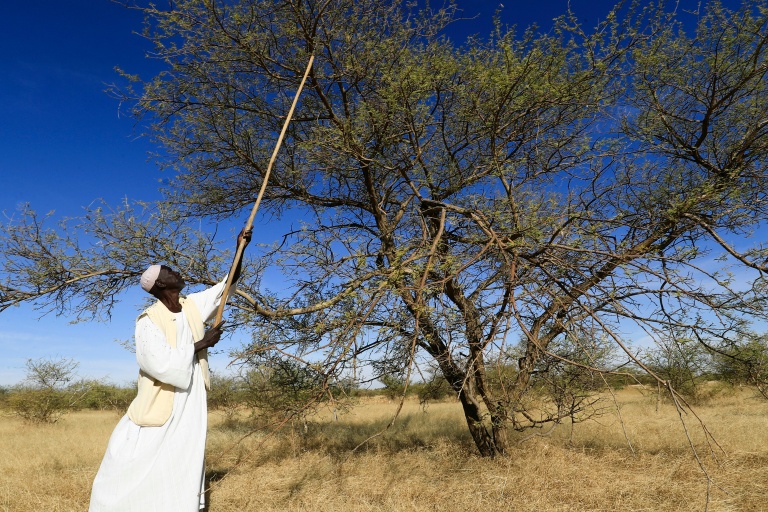 UN says Sudan resources fuel civil war