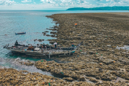 A powerful Philippine earthquake forced seafloor out of the water to make new shoreline - Ferdinandh Cabrera (AFP)
