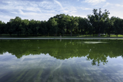 Algae is visible in the Lincoln Memorial Reflecting Pool as cleanup efforts continue where newly applied blue paint has peeled from the bottom, in Washington, DC, on June 20, 2026 - Ken Cedeno (AFP)