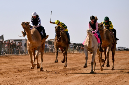 Hundreds of spectators descended on Australian outback town Marree to watch an annual camel race - William WEST (AFP)