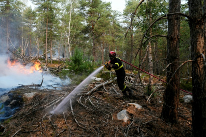 The heatwave has ravaged parts of the forest - Dimitar DILKOFF (AFP)