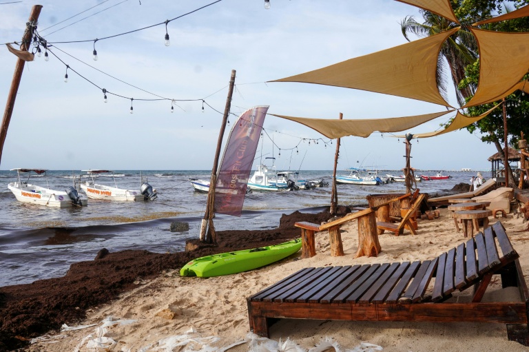 Mexico escalates war against smelly seaweed on Caribbean beaches