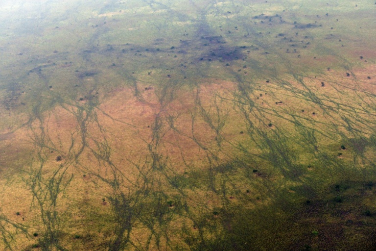 UN lists South Sudan antelope route as heritage in danger